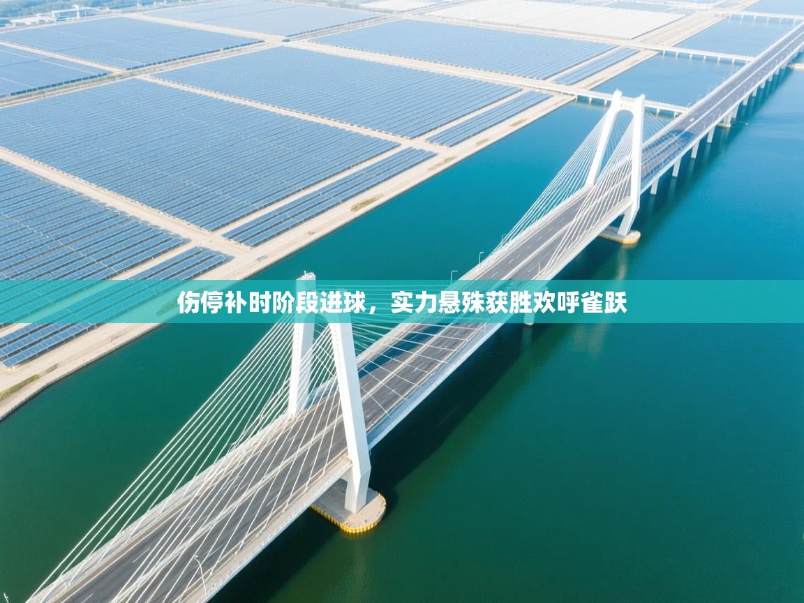 伤停补时阶段进球，实力悬殊获胜欢呼雀跃  第1张