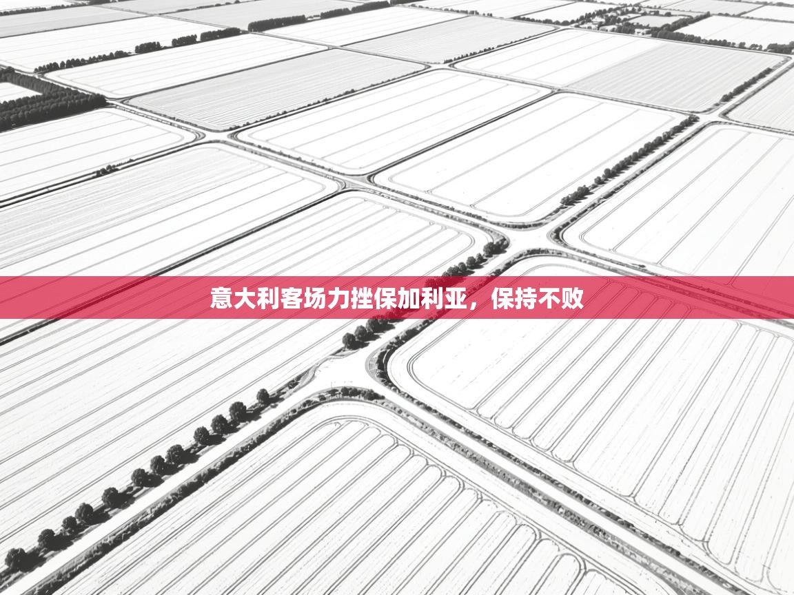 意大利客场力挫保加利亚，保持不败  第1张