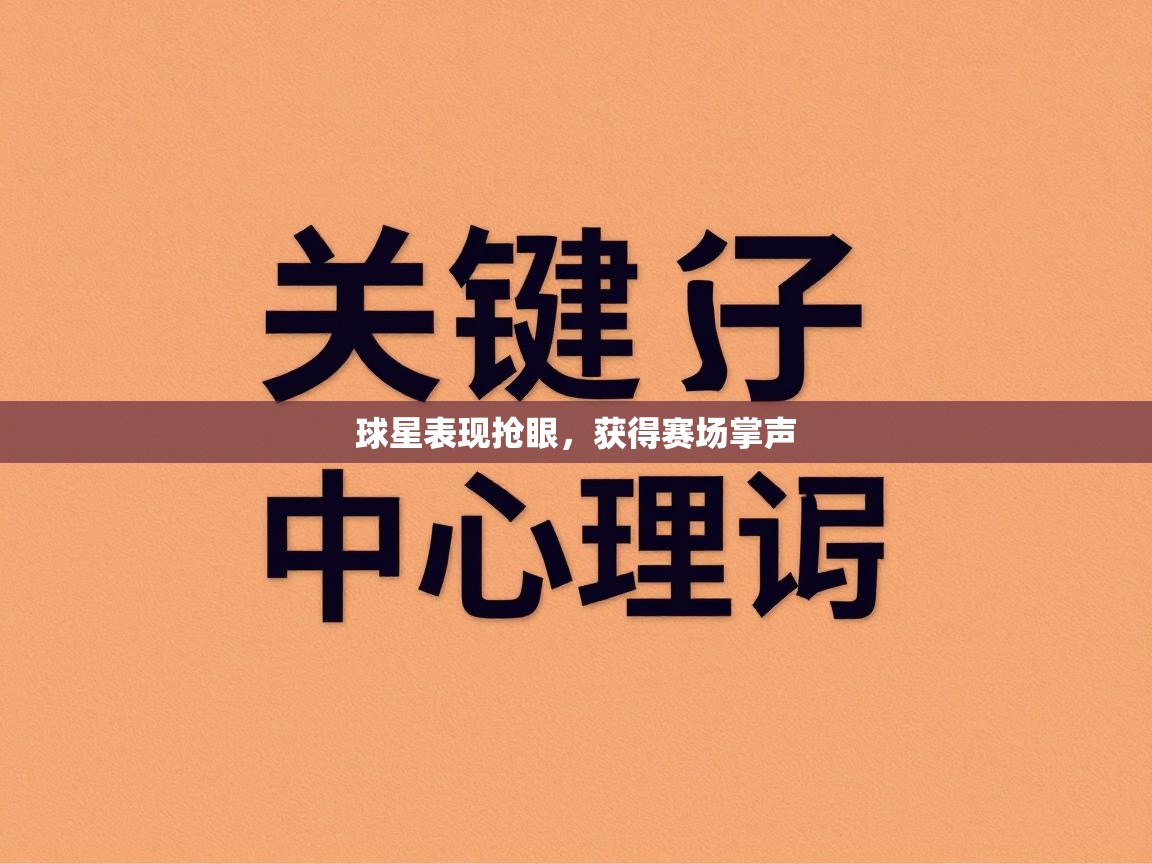 球星表现抢眼，获得赛场掌声