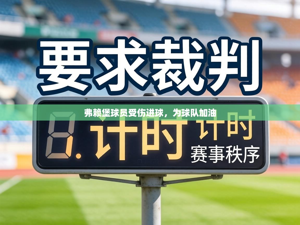 弗赖堡球员受伤进球，为球队加油  第1张